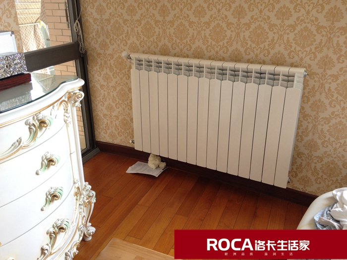 \南京进口暖气片壁挂炉 明装暖气片 中央净水
